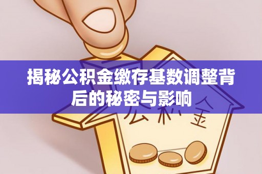 乌拉特前旗揭秘公积金缴存基数调整背后的秘密与影响