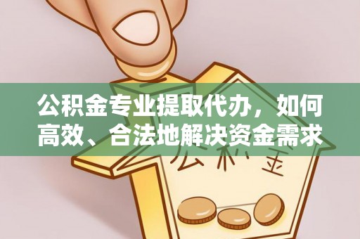 乌拉特前旗公积金专业提取代办，如何高效、合法地解决资金需求？