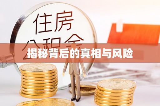 乌拉特前旗揭秘背后的真相与风险